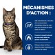 Un chat tigré avec un collier bleu est assis droit, à côté d'un texte en français détaillant les mécanismes de perte de poids pour les chats.