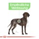 Illustration eines braun-weißen Hundes mit dem Text "Empfindliche Verdauung" darüber, was auf eine empfindliche Verdauung hinweist.
