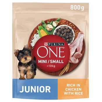 Purina ONE Junior dog food bag featuring a small dog, with a red circle stating "MINI/SMALL <10kg" and "RICH IN CHICKEN WITH RICE."