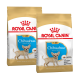 Zwei Tüten Royal Canin Chihuahua Welpenfutter, mit einem kleinen Chihuahua-Welpen auf der Verpackung, gekennzeichnet für Welpen bis zu 8 Monaten.