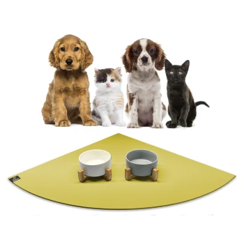 Eine Gruppe von vier Haustieren, darunter zwei Hunde, ein flauschiges weißes Kätzchen und eine schwarze Katze, sitzt vor einer grünen Futtermatte mit zwei Schalen.