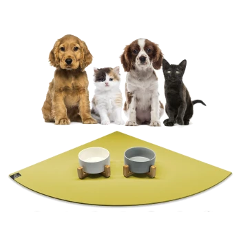 Eine Gruppe von vier Haustieren, darunter zwei Hunde, ein flauschiges weißes Kätzchen und eine schwarze Katze, sitzt vor einer grünen Futtermatte mit zwei Schalen.