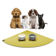 Eine Gruppe von vier Haustieren, darunter zwei Hunde, ein flauschiges weißes Kätzchen und eine schwarze Katze, sitzt vor einer grünen Futtermatte mit zwei Schalen.