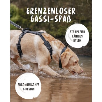 Ein Labrador in einem schwarzen Geschirr plantscht im flachen Wasser. Text lautet "Grenzenloser Gassi-Spaß," "strapazierfähiges Nylon," "Y-Design."