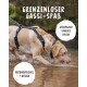 Ein Labrador in einem schwarzen Geschirr plantscht im flachen Wasser. Text lautet "Grenzenloser Gassi-Spaß," "strapazierfähiges Nylon," "Y-Design."