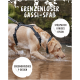 Ein Labrador in einem schwarzen Geschirr plantscht im flachen Wasser. Text lautet "Grenzenloser Gassi-Spaß," "strapazierfähiges Nylon," "Y-Design."