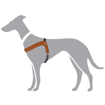 Illustration eines grauen Hundes, der ein braunes Geschirr trägt, das das Design und die Passform des Geschirrs zeigt.