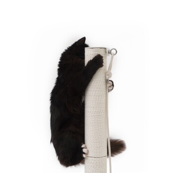 Eine schwarze Katze, die an einem hohen, weißen Kratzbaum hochklettert, mit ihren Vorderpfoten, die den Baum greifen, und ihrem Schwanz, der herunterhängt.