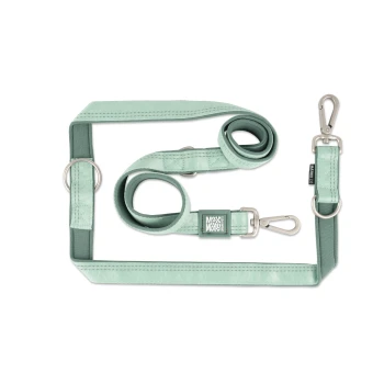 Hellgrüne verstellbare Hundeleine mit Metallclips und Ringen, beschriftet mit „Max & Molly“.