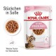 Royal Canin Kitten Sterilised Nassfutterverpackung mit einem Kätzchenbild, mit Text, der angibt, dass es für 6-12 Monate geeignet ist und eine weiche Textur hat.