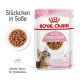 Royal Canin Kitten Sterilised Nassfutterverpackung mit einem Kätzchenbild, mit Text, der angibt, dass es für 6-12 Monate geeignet ist und eine weiche Textur hat.