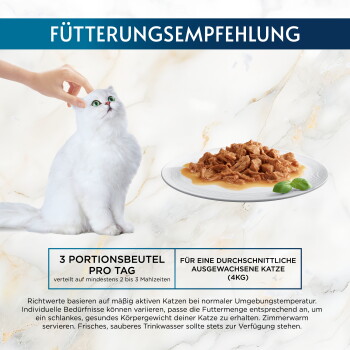 Weiße langhaarige Katze wird gestreichelt neben einem Teller mit Nassfutter; der Text lautet 'Fütterungsempfehlung' und '3 Portionsbeutel pro Tag'.