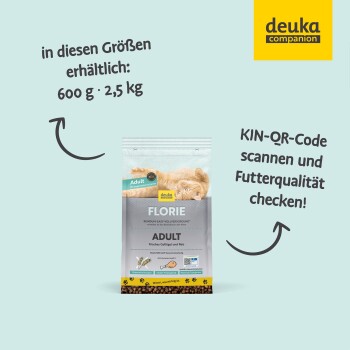 Katzenfutterpaket mit der Aufschrift 'Florie Adult', das eine verspielte orangefarbene Katze zeigt, mit Text, der die verfügbaren Größen angibt: 600g und 2.5kg.