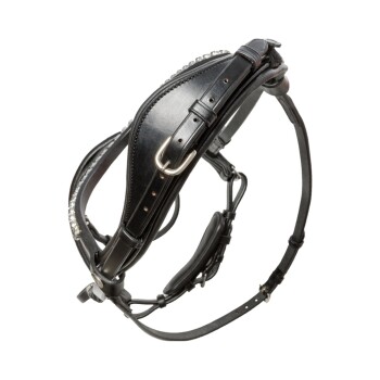 Schwarzes Leder-Haustiergeschirr mit dekorativen Nähten und verstellbaren Riemen, von oben betrachtet.