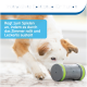 Interaktives Spielzeug für Hunde, das Leckerlis ausgibt und durch das Zimmer rollt; ein Hund schnüffelt neugierig daran.