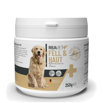 Behälter von REAVET Fell & Haut Harmonie-Pulver für Hunde, 250g, mit einer Illustration eines Golden Retrievers und dem Etikett 'Hergestellt in Deutschland'.