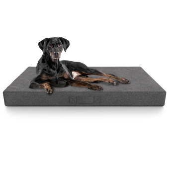 Ein schwarz-brauner Hund ruht sich bequem auf einem grauen Haustierbett aus und zeigt seine entspannte Haltung und weiche Felltextur.