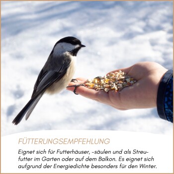 Holz-Vogelfutterhaus mit einem kleinen Vogel, der darin sitzt, verschneiter Hintergrund mit kahlen Ästen.