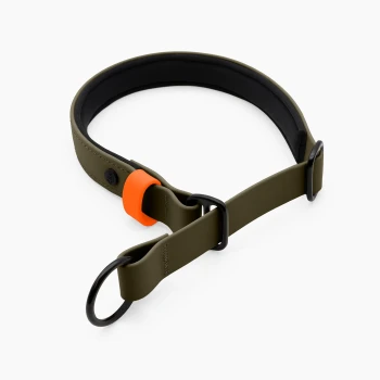Ein flexibles Haustierhalsband in Olivgrün mit einem schwarzen gepolsterten Innenraum und einem orangefarbenen verstellbaren Abschnitt mit zwei schwarzen Knöpfen.