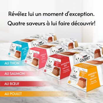 Packs de nourriture pour chats Purina Gourmet en quatre saveurs (Thon, Saumon, Bœuf, Poulet) avec un titre en français.