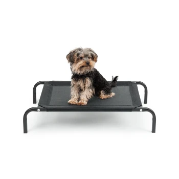 Ein kleiner, flauschiger Hund sitzt auf einem schwarzen erhöhten Haustierbett mit einem stabilen Metallrahmen, das Komfort und Stil zeigt.