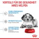 Welpe neben einer roten Schüssel mit Royal Canin Hundefutter, mit Text über gesundheitliche Vorteile: Immununterstützung, Gehirnentwicklung und Mikrobiomgesundheit.