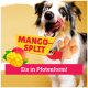 Hund leckt sich die Lippen neben mango-förmigem Pfoten-Eis mit Text „Mango-Split“ und „Eis in Pfotenform!“