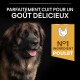 Grand chien marron et noir avec la langue sortie, texte en français disant « Parfaitement cuit pour un goût délicieux » et « Ingrédient n°1 poulet ».