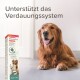 Ein Golden Retriever sitzt auf einem Boden neben einer Box Beaphar IntestoPro, die die Verdauungsgesundheit unterstützt, mit Text auf Deutsch.