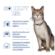 Eine gesunde Katze mit einem blauen Halsband steht neben einem Text, der die Vorteile umreißt: schützt die Nierenfunktion, regt den Appetit an, unterstützt die Muskelmasse.