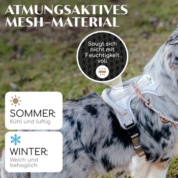 Hund mit einem atmungsaktiven Mesh-Geschirr; der Text hebt Sommer- und Wintermerkmale hervor: "Cool und luftig" für den Sommer, "Weich und bequem" für den Winter.