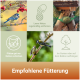 Collage mit Meisen und Fettkugel-Futterstellen; deutsche Tipps: Netze entfernen, vor Katzen schützen, draußen aufhängen; Überschrift 'Empfohlene Fütterung'.
