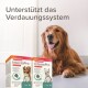 Un golden retriever assis à côté de deux boîtes de Beaphar IntestoPro, promouvant la santé digestive avec un texte en allemand.