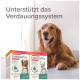 Golden Retriever sitzt neben zwei Boxen Beaphar IntestoPro, die die Verdauungsgesundheit fördern, mit Text in Deutsch.