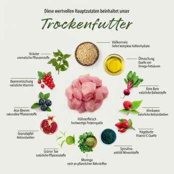 Trockenfutter-Zutaten: Hühnerfleisch, Vollkornreis, Öl-Mischung und Rote Beete, mit Text, der ihren Wert hervorhebt.
