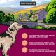 Illustration eines Golden Retrievers, der auf eine malerische Landschaft mit einem Dorf und Hügeln schaut, mit Text über ausgewogene Ernährung für Haustiere.
