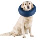 Golden retriever wearing a navy inflatable recovery cone collar, sitting on a white background.