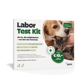 Verpackung des Labor-Testkits mit einem Hund und einer Katze, mit Text, der DNA- und Wurmtests, kostenlosen Laborsendungen und einem Gutschein über 10 € hervorhebt.