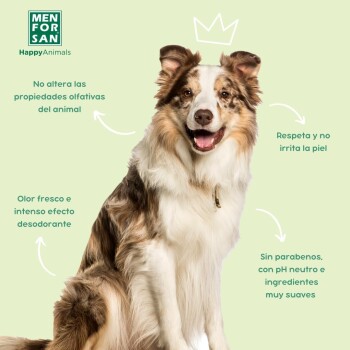 Ein glücklicher, flauschiger Hund auf einem hellgrünen Hintergrund mit Text über Produktvorteile: keine Geruchsveränderung, frischer Duft, hautfreundlich, parabenfrei.