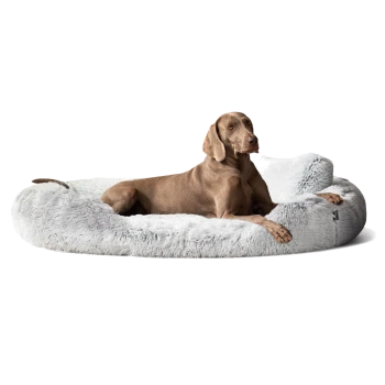 Ein entspannter brauner Hund liegt auf einem plüschigen, runden grauen Hundebett mit weicher Textur, das Komfort und Stil zeigt.