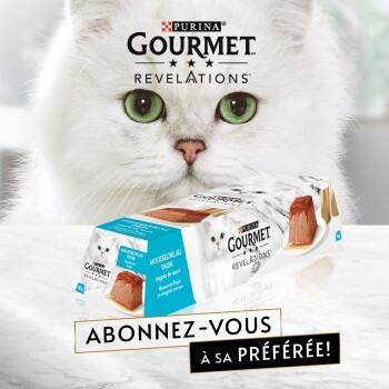 Chat blanc à poils longs aux yeux verts derrière un pack Purina Gourmet Revelations mousseline au thon ; texte «Abonnez-vous à sa préférée!».