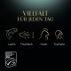 Der Text lautet "Vielfalt für jeden Tag" mit goldenen Symbolen von Lachs, Thunfisch, Huhn, Truthahn und einem Logo für nachhaltige Meeresfrüchtezertifizierung.