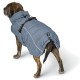 Ein Hund, der einen grauen Daunenmantel mit hohem Kragen und verstellbaren Riemen trägt, steht vor einem weißen Hintergrund.