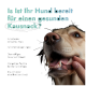 Nahaufnahme des Gesichts eines Hundes, während eine Person seinen Mund offen hält. Deutscher Text fragt, ob er bereit für einen gesunden Kausnack ist.