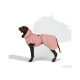 Schokoladenbrauner Hund in einem pinken Regenmantel mit Kapuze, schwarzer Einfassung und Schnalle vor weißem Hintergrund.