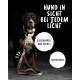 Ein Hund in einer dunklen Umgebung trägt ein reflektierendes Geschirr mit Text: 'Hund in Sicht bei jedem Licht,' 'Sichtbarkeit und Schutz,' 'Reflektiert.'