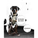 Ein Hund in einer dunklen Umgebung trägt ein reflektierendes Geschirr mit Text: 'Hund in Sicht bei jedem Licht,' 'Sichtbarkeit und Schutz,' 'Reflektiert.'