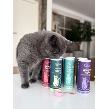 Graue Katze schnuppert an KatKare-Topping-Dosen (Immuno, Calm Cat, Digestive, Urinary) mit rosa Schaufel.
