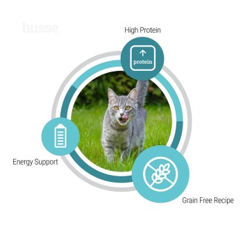 Eine dreifarbige Katze sitzt auf einem Baumstamm, umgeben von Symbolen, die 'Immununterstützung', 'Clinoptilolith' und 'Glänzendes Fell / Haut & Fell' anzeigen.