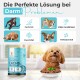 Ein süßer Hund sitzt neben einer Futterschüssel und einer Dose Balloonys Sensitive Lachs & Truthahn, die sich mit Verdauungsproblemen bei Hunden befasst.